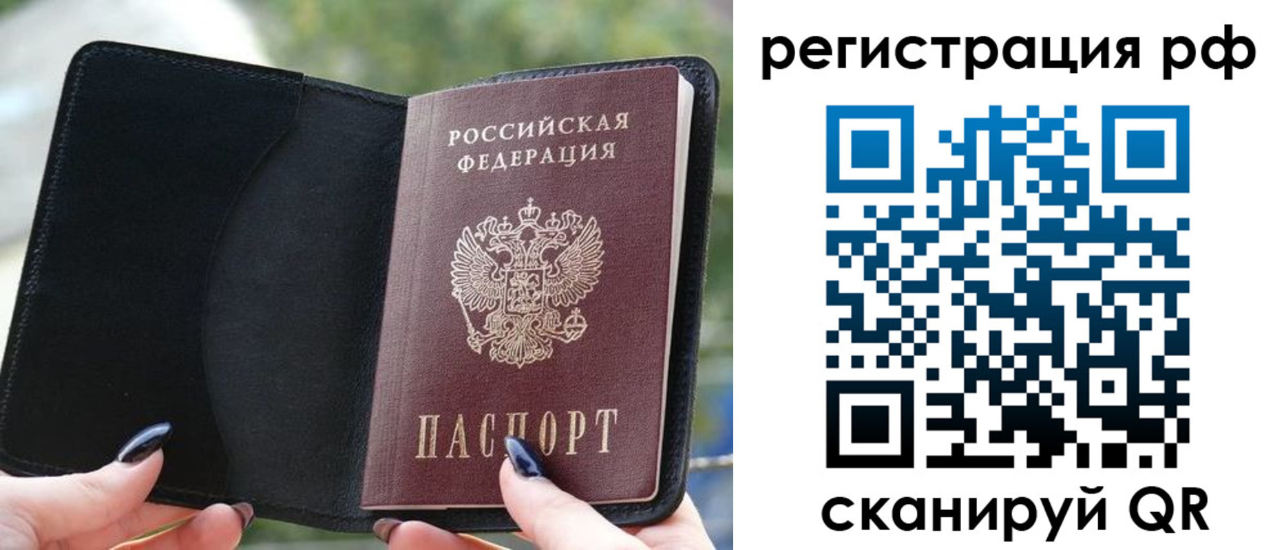 прописка регистрация в Мончегорске