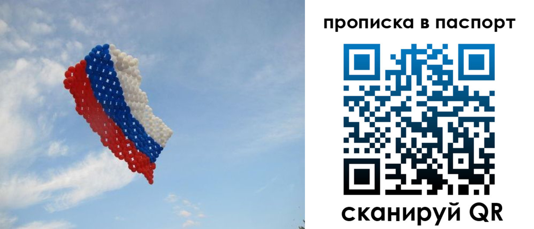 найти адрес прописки в Мончегорске