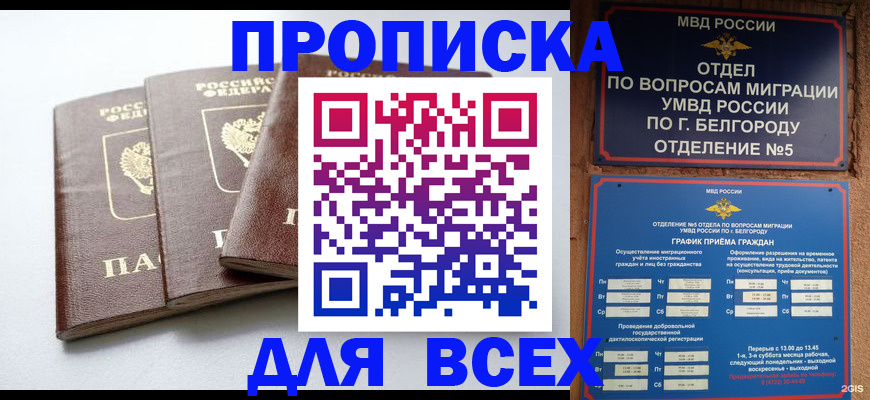 прописка в Мончегорске